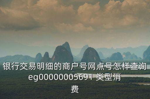 銀行交易明細(xì)的商戶(hù)號(hào)網(wǎng)點(diǎn)號(hào)怎樣查詢(xún)eg00000005691 類(lèi)型消費(fèi)