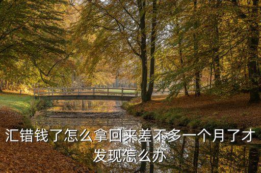 匯錯錢了怎么拿回來差不多一個月了才發(fā)現(xiàn)怎么辦