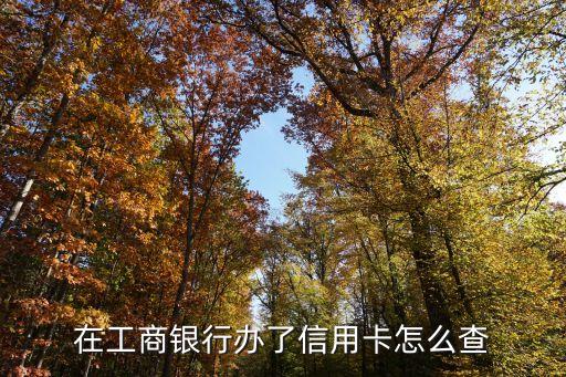 在工商銀行辦了信用卡怎么查