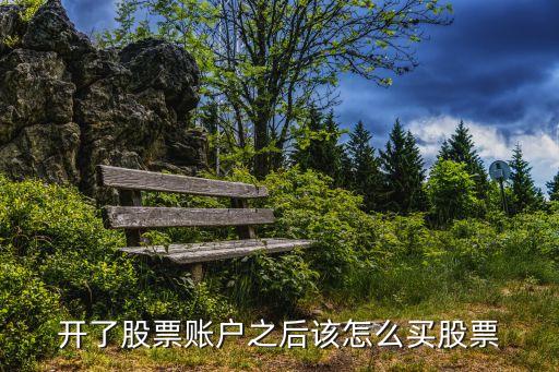 開(kāi)戶好了怎么買股票，開(kāi)戶后該怎么樣才能購(gòu)買到股票呢我這邊只有一家證券公司沒(méi)有交