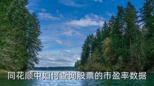 同花順市盈率怎么看，同花順怎么看市盈率