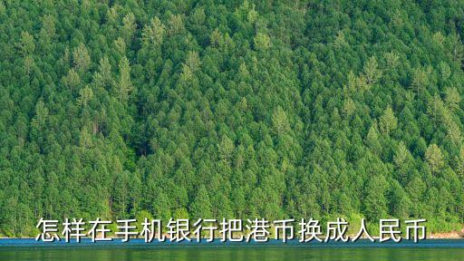 手機(jī)怎么炒外匯，怎樣炒外匯啊
