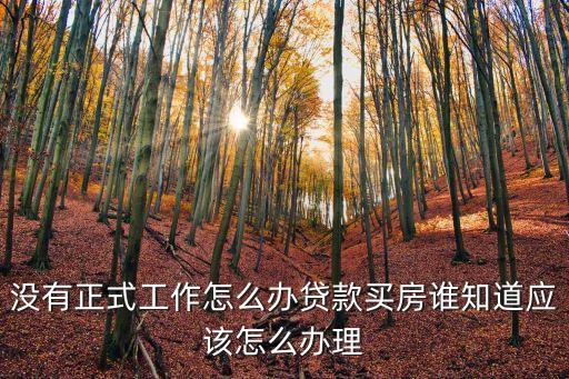 沒工作怎么辦理貸款買房，在沒有工作單位的情況下怎樣按揭買房