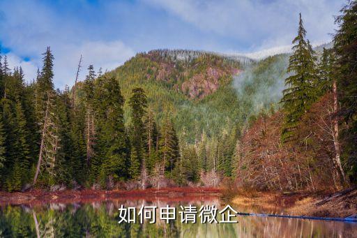 怎么辦小微企業(yè)，如何創(chuàng)辦小微企業(yè)