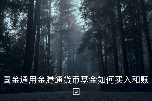 國金通用金騰通貨幣基金如何買入和贖回