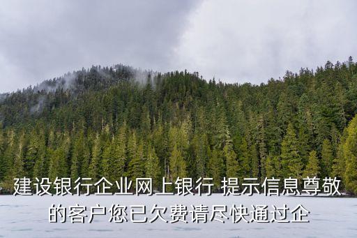 建行企業(yè)網(wǎng)銀費(fèi)怎么交，建行企業(yè)網(wǎng)銀繳納訴訟費(fèi)怎么交