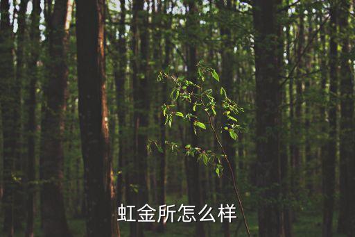 虹金所怎么樣