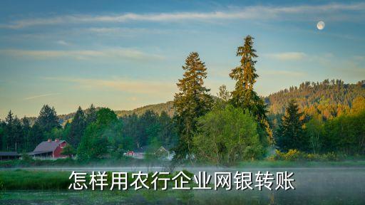 怎樣用農(nóng)行企業(yè)網(wǎng)銀轉(zhuǎn)賬
