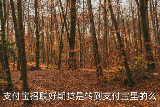 支付寶招聯好期貸是轉到支付寶里的么