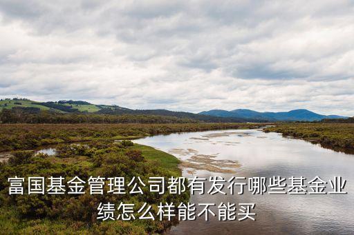 富國(guó)基金管理公司都有發(fā)行哪些基金業(yè)績(jī)?cè)趺礃幽懿荒苜I
