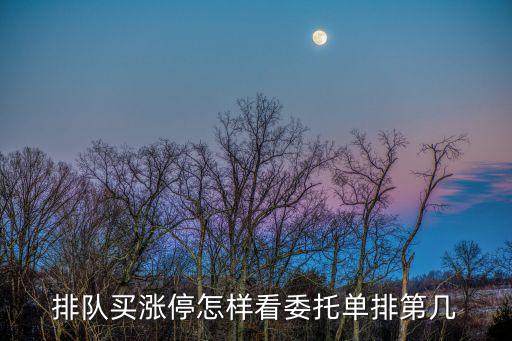 股票委托單排名怎么看，股票委托編號怎么查看賣到多少編號了也就是說前面排到多少號了