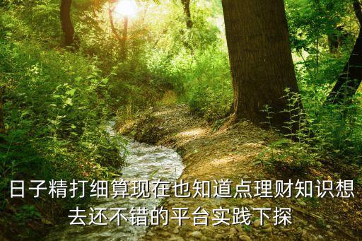 日子精打細(xì)算現(xiàn)在也知道點(diǎn)理財(cái)知識(shí)想去還不錯(cuò)的平臺(tái)實(shí)踐下探