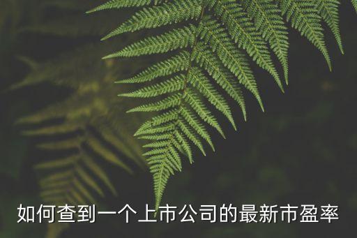 上市公司市盈率怎么查，上市公司每日市盈率要去哪里找