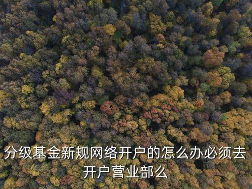 分級(jí)基金新規(guī)網(wǎng)絡(luò)開戶的怎么辦必須去開戶營業(yè)部么