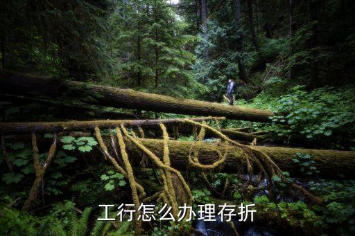 工商銀行存折怎么弄，請問怎么開一個工商存折可以詳細(xì)的告訴我嗎