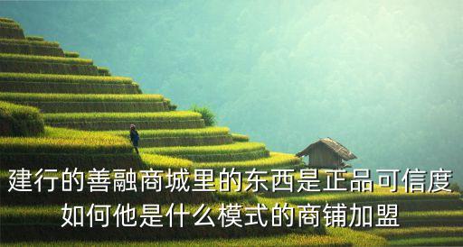 建行的善融商城里的東西是正品可信度如何他是什么模式的商鋪加盟