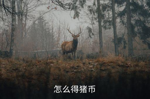 怎么得豬幣