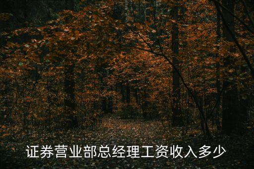 證券營業(yè)部總經(jīng)理工資收入多少