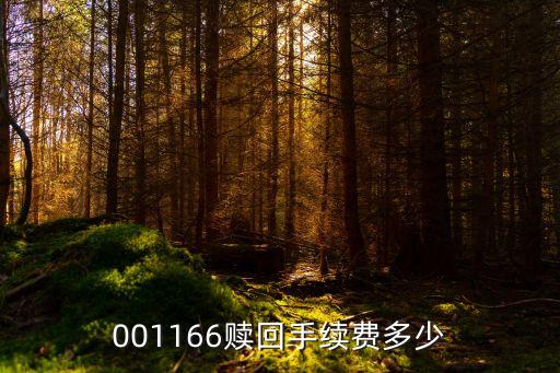 001166贖回手續(xù)費(fèi)多少
