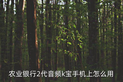 農(nóng)業(yè)銀行2代音頻k寶手機上怎么用
