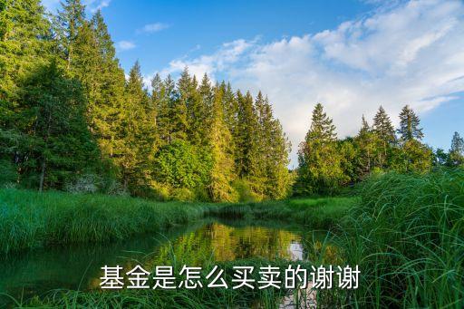 基金是怎么買賣的謝謝
