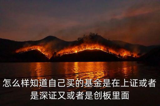 怎么樣知道自己買的基金是在上證或者是深證又或者是創(chuàng)板里面