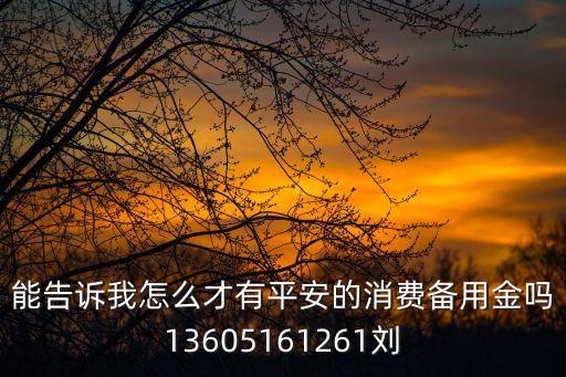 能告訴我怎么才有平安的消費備用金嗎13605161261劉