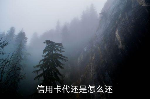 信用卡代還是怎么還