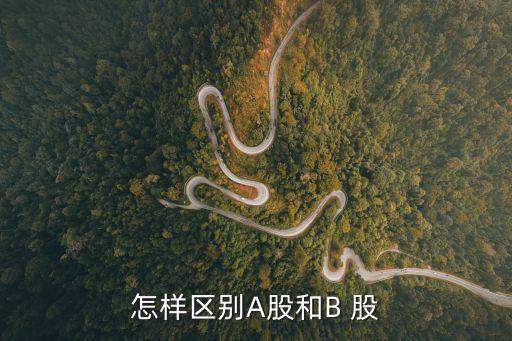 怎么區(qū)分a股b股股票，怎樣區(qū)別A股和B 股