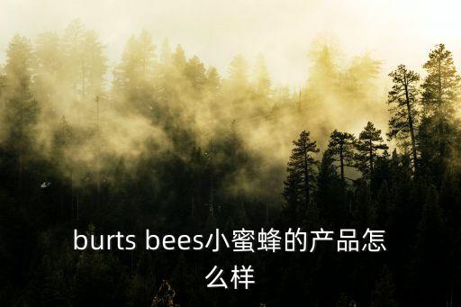 小蜜蜂復(fù)利理財(cái)怎么樣，請(qǐng)問小蜜蜂財(cái)務(wù)軟件性價(jià)比如何