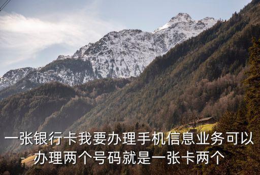 一張銀行卡我要辦理手機信息業(yè)務(wù)可以辦理兩個號碼就是一張卡兩個