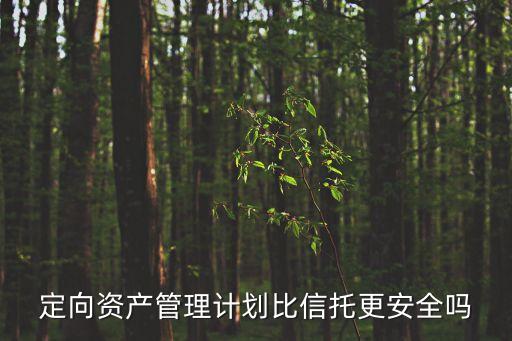 定向資產(chǎn)管理計劃比信托更安全嗎