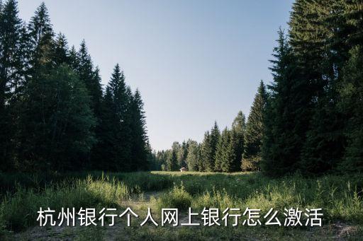 杭州銀行怎么開(kāi)通網(wǎng)上銀行，杭州銀行為什么不能開(kāi)通網(wǎng)銀