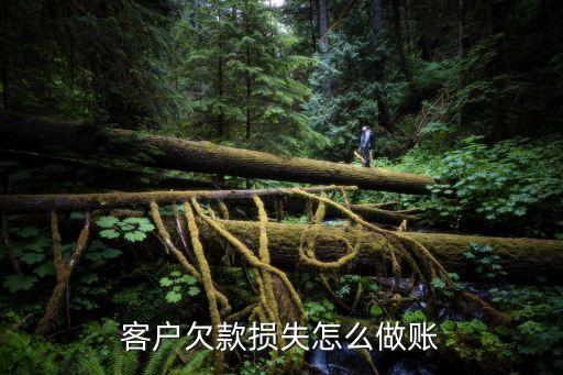 回款損失費(fèi)用怎么走賬，客戶(hù)欠款損失怎么做賬