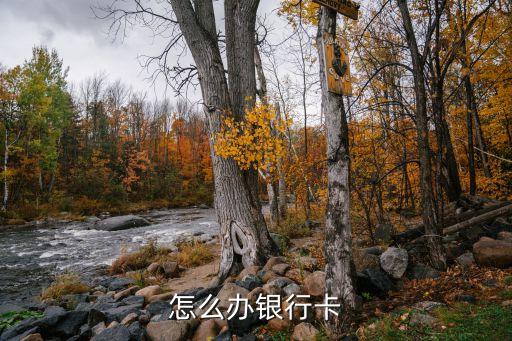 怎么辦銀行卡