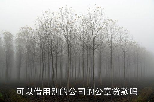 可以借用別的公司的公章貸款嗎
