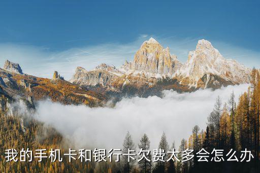 儲蓄卡欠費(fèi)60萬怎么辦，欠銀行卡60萬無法歸還自首判何罪