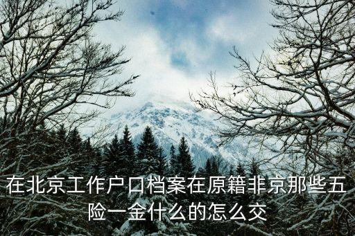 北京五險一金怎么繳納情況，在北京工作戶口檔案在原籍非京那些五險一金什么的怎么交