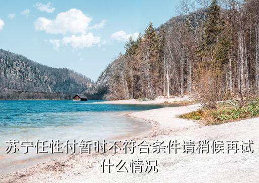 蘇寧任性付暫時(shí)不符合條件請(qǐng)稍候再試什么情況