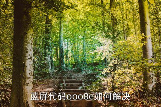 藍(lán)屏代碼ooo8e如何解決