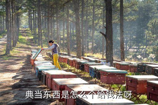 典當(dāng)東西是怎么個(gè)給錢法呀