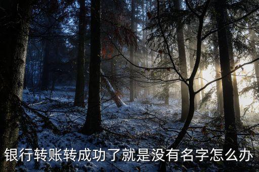 銀行轉(zhuǎn)賬轉(zhuǎn)成功了就是沒(méi)有名字怎么辦