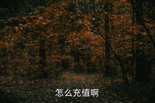 怎么充值啊
