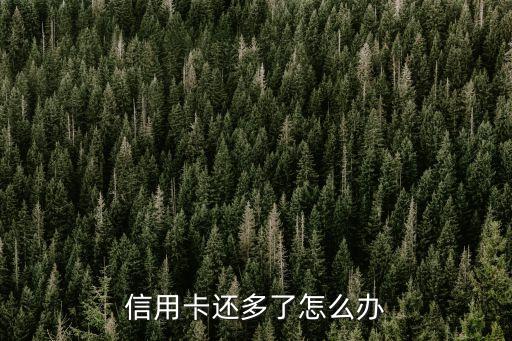 信用卡還多了怎么辦