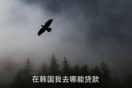 在韓國怎么貸款，在韓國我去哪能貸款