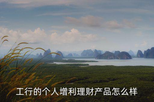 工行的個(gè)人增利理財(cái)產(chǎn)品怎么樣
