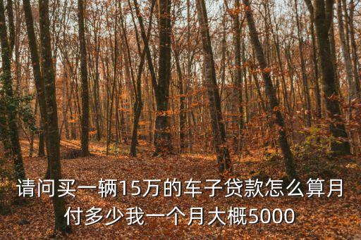 請(qǐng)問買一輛15萬的車子貸款怎么算月付多少我一個(gè)月大概5000