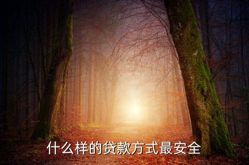 怎么貸款安全可靠，什么樣的貸款方式最安全