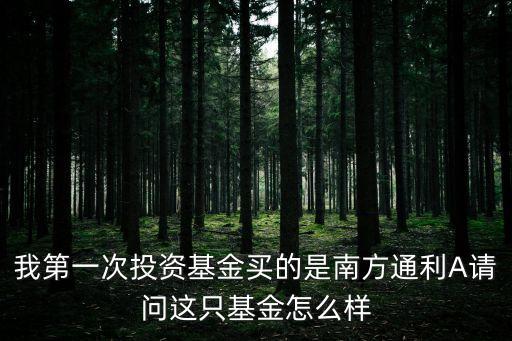 我第一次投資基金買(mǎi)的是南方通利A請(qǐng)問(wèn)這只基金怎么樣