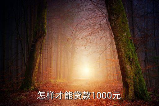 怎么可以貸1000元，怎樣才能貸款1000元